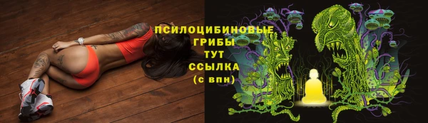крисы Абдулино