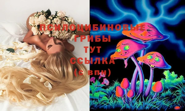 крисы Абдулино