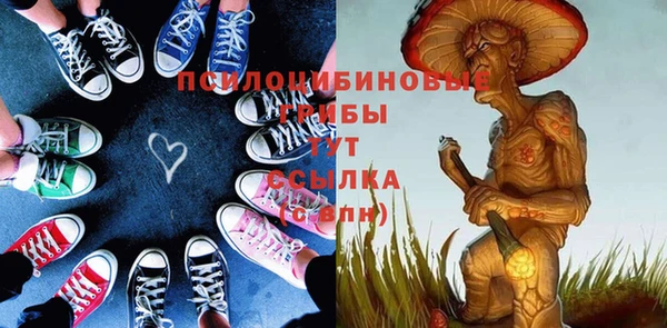 крисы Абдулино