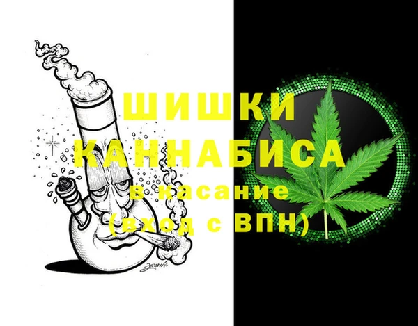 стафф Няндома