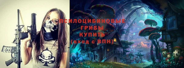 сатива Абаза