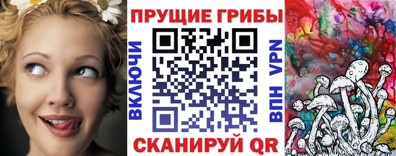 Галлюциногенные грибы GOLDEN TEACHER  darknet клад  Котельнич 